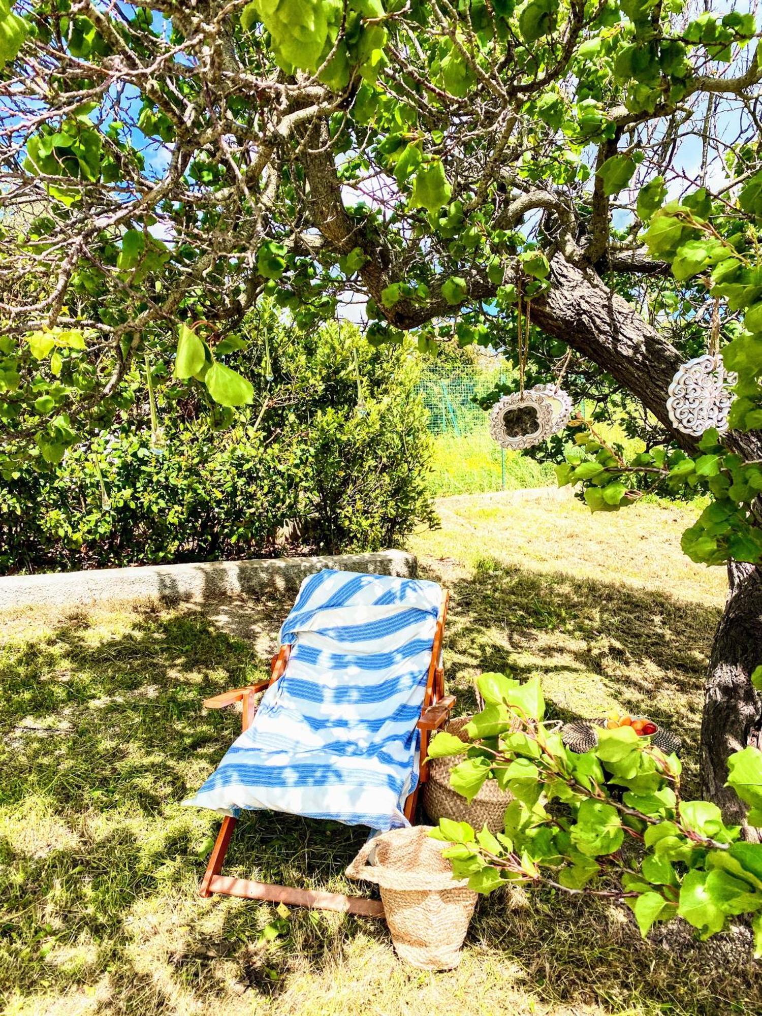 Вилла Trulli And Pool - I Cactus Мартина-Франка Экстерьер фото