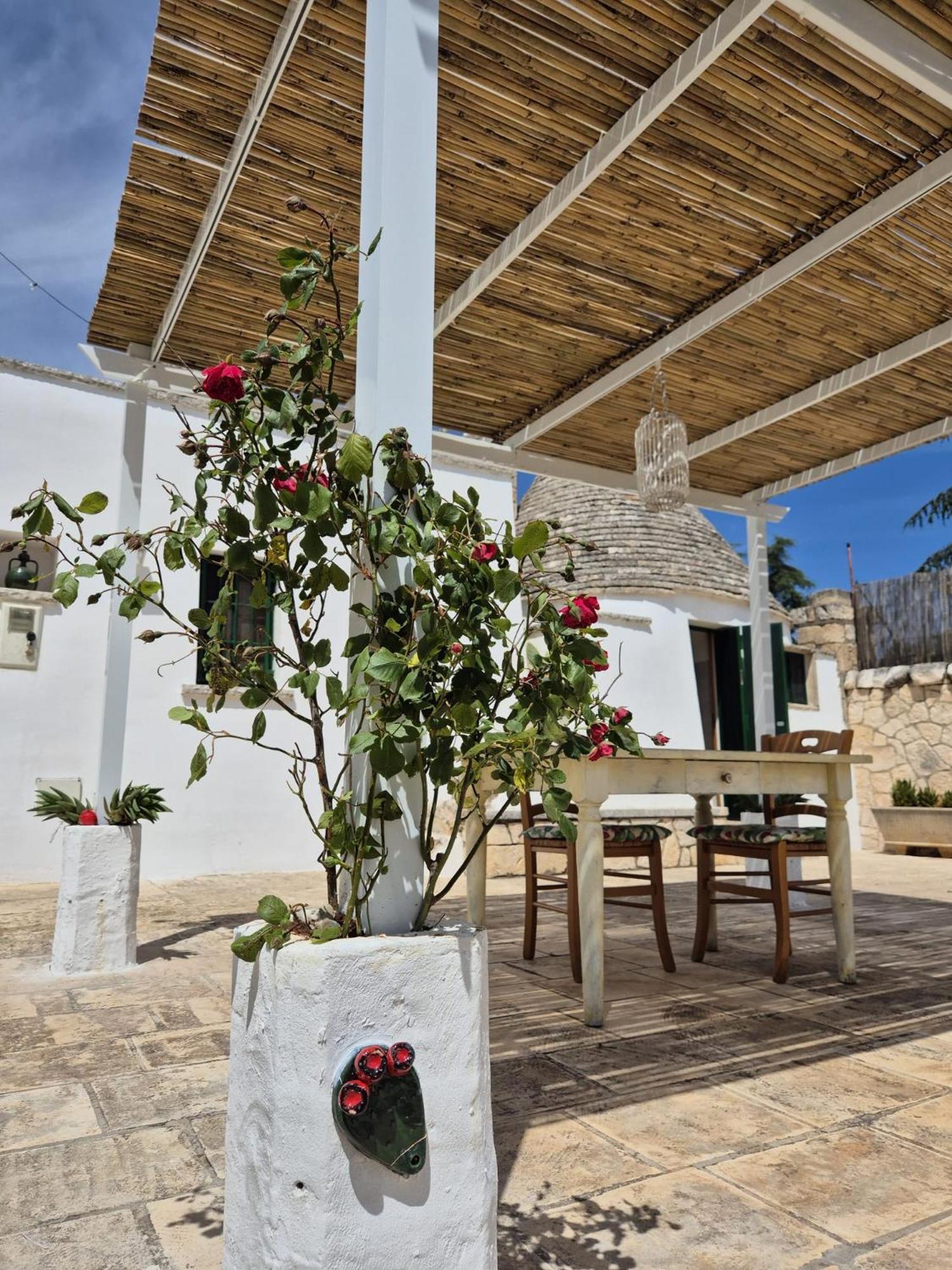 Вилла Trulli And Pool - I Cactus Мартина-Франка Экстерьер фото